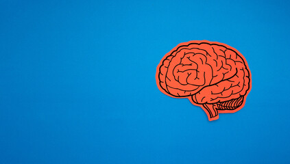 A brain shape made from red paper on a blue background