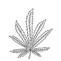 Cannabis leaf in doodle style. Hand Drawn. Freehand drawing. Sketch.	