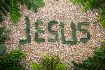 Jesus name from greenleaf with frame of leaf. Copy space for your individual text.