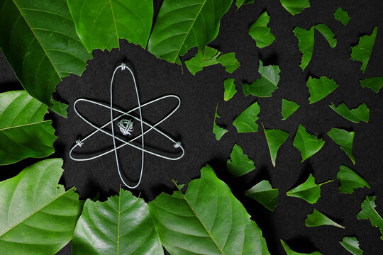 Nuclear Power Plant Negative Impact On Environment Concept. Atomic Energy Icon Symbol With Damage Green Leaves In Dark Black Background.