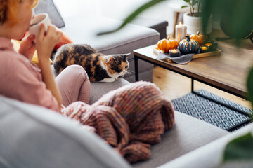 Multi colored pet cat sitting with woman in plaid, who is drinking hot tea, watching movie, TV on...
