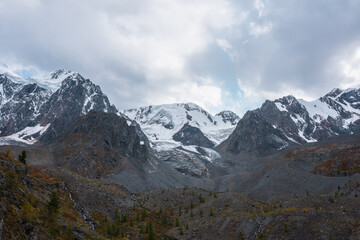 Dramatic view from hills with trees to large snow mountain range with glacier and icefall in cloudy sky. High snowy mountains under rainy clouds. Fading autumn colors in mountains in overcast weather.