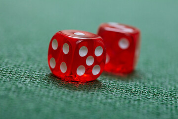 dice game on the green background
