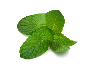 Fresh mint leaves isolated on white background.