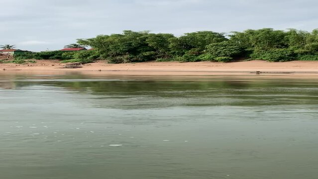 Dauphin d&rsquo;eau douce sur le fleuve Irrawaddy proche de Kratie - Cambodge