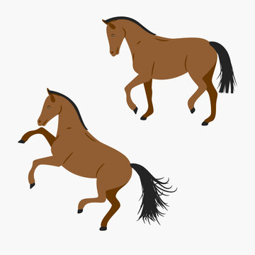 Cartoon brown horse running and standing on white background