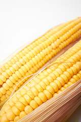 fresh corn on the white background