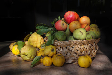 basket of fruits