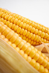 fresh corn on the white background