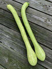 tromboncino  zucchetto  zucchini on a wooden background