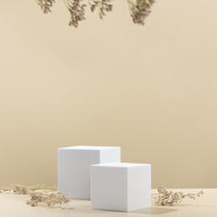 Abstract empty white podiums with dry flowers on beige background