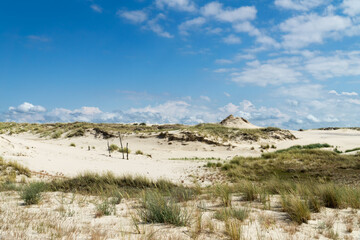 Sandy dunes overgrown by clumps of grass  and blue sky with white clouds in sunny summer day.  Lacka dune in Slowinski National Park in Poland, a miracle of nature. Traveling dune. - obrazy, fototapety, plakaty