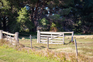 old wooden gate in field with pine trees