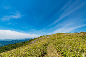 Fototapeta premium 風景