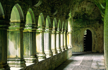 The cloister walk arches in Quin Abbey, County Clare, Ireland. Founded by the Franciscan order in 1433. - obrazy, fototapety, plakaty