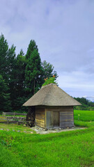 日本の田舎の風景、夏の田んぼの中にぽつんと建つ小さな水車小屋