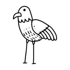 bird hand drawn illustration