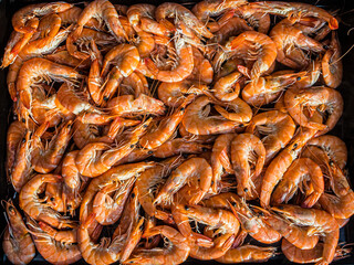 close up of a lot of fried shrimps
