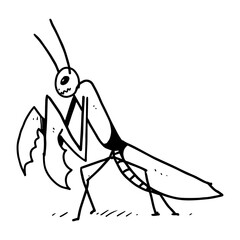 mantis in cute animal character illustration design
