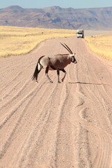 Namibian Road C19