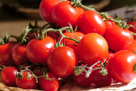 Pomodori
