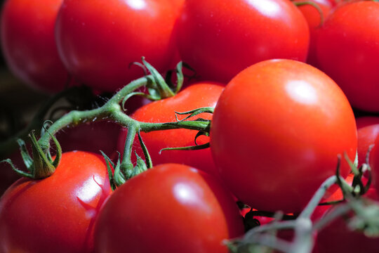 Pomodori rossi