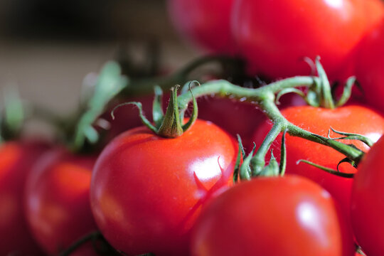 pomodori 