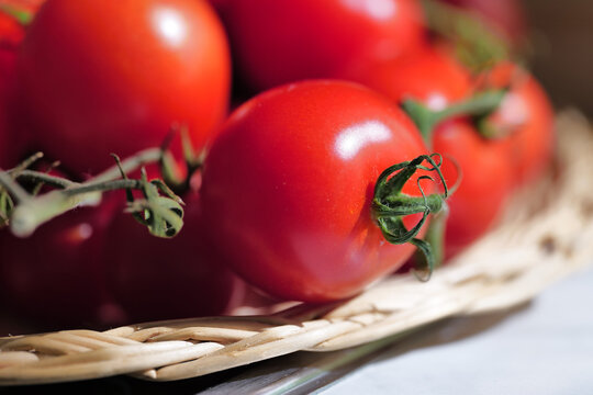 pomodorini