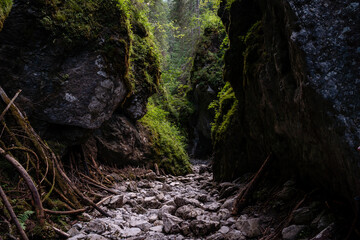 waterfall in the woods