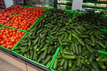 Tomatoes and cucumbers in trays are on the counter. Seasonal organic vegetables