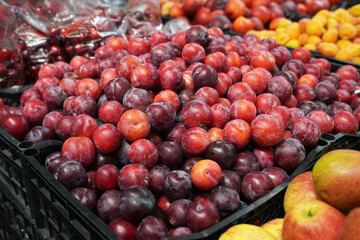 Close-up of dark plums in a drawer on a supermarket shelf. Farm products