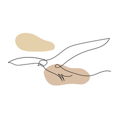 Flying seagull line art. Contour drawing. Minimalism art.