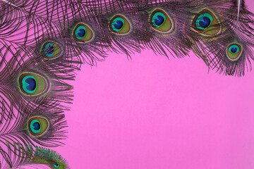 Obraz premium peacock feather background on pink.