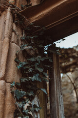 Obraz premium detail of an building