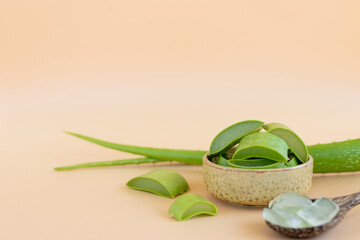 Top view of fresh aloe vera leaves. spa background concept.