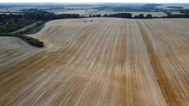 British Agricultural and Harvesting Fields Farms at Sunset Time. High Angle Footage taken with drone's camera on a hot summer day of England. Agricultural Farms and Working Machines at Dunstable Downs