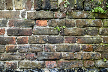 Close Up of Brick Texture Background
