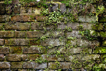 Close Up of Brick Texture Background
