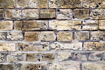 Close Up of Brick Texture Background
