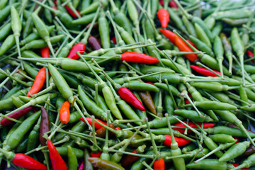 Fresh organic green and red Thai chilies background. Concept : food ingredient, spicy for cooking. Agriculture crop in Thailand.                              