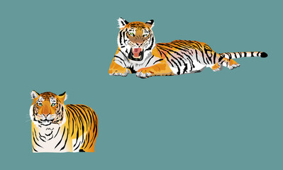 Fototapeta na wymiar Tigers lying in the isolated vector