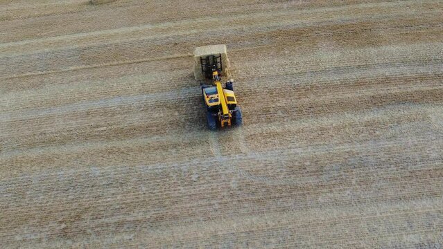 British Agricultural and Harvesting Fields Farms at Sunset Time. High Angle Footage taken with drone's camera on a hot summer day of England. Agricultural Farms and Working Machines at Dunstable Downs