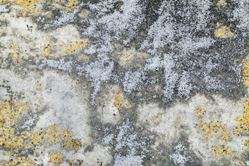 Close Up of Concrete Texture Background