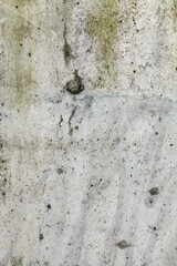 Close Up of Concrete Texture Background