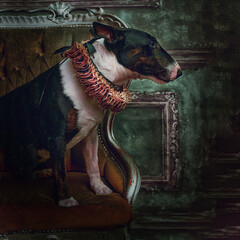 Fancy victorian style dog