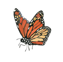 Watercolor spring butterfly illustration, insect, flying,bumble bee,fly, wasp nursery decor isolated for greeting card, poster, invitation, baby shower, wedding, sticker, shabby chic, scrapbooking diy