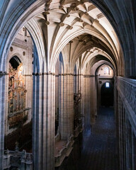 Fototapeta premium Catedral