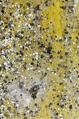 Close Up of Concrete Texture Background