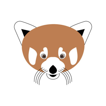 Red Panda Head On White Background