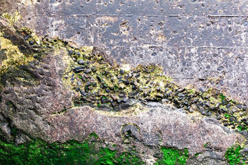 Close Up of Concrete Texture Background